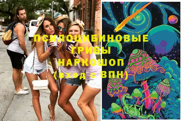 дурь Фёдоровский