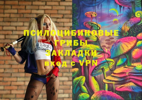 соль курить ск Каменногорск