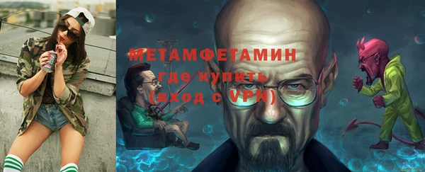 индика Нестеровская