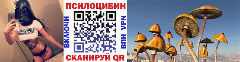 Галлюциногенные грибы Cubensis  Куртамыш 